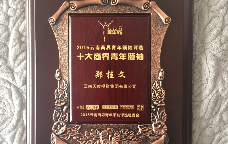 在“互聯(lián)網(wǎng)大時代”的背景下，天度作為本土很大和很有名的互聯(lián)網(wǎng)服務(wù)企業(yè)，為近萬家傳統(tǒng)企業(yè)轉(zhuǎn)型互聯(lián)網(wǎng)+提供了服務(wù)和幫助，獲此獎項后，我們將再接再厲，創(chuàng)造更高的社會價值